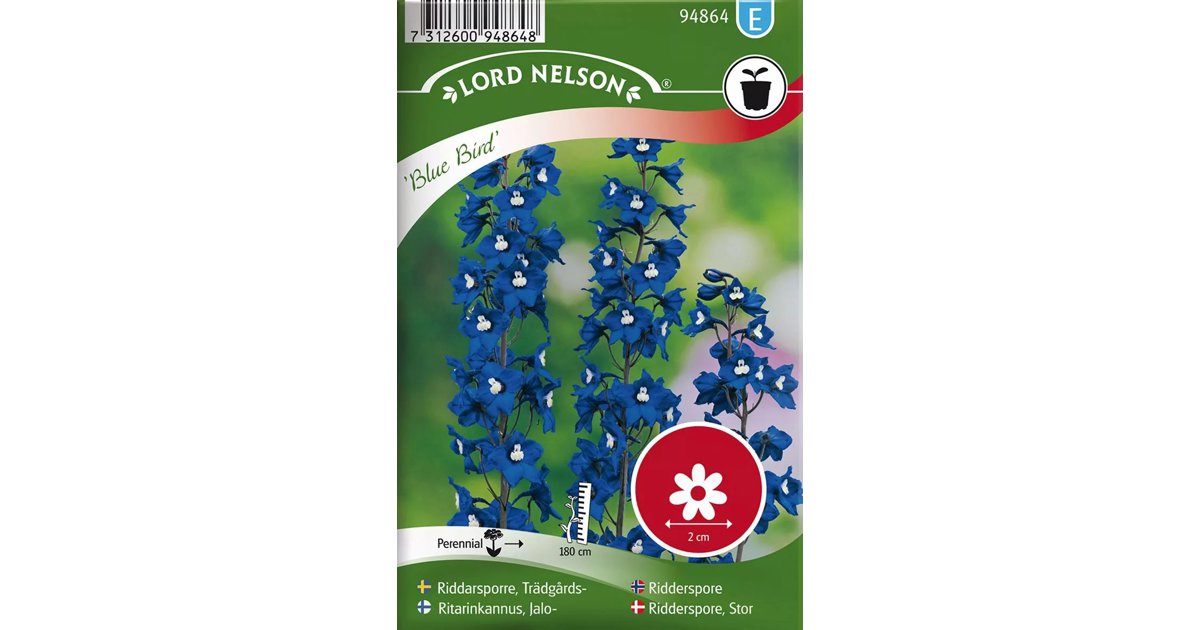 Trädgårdsriddarsporre Blue Bird