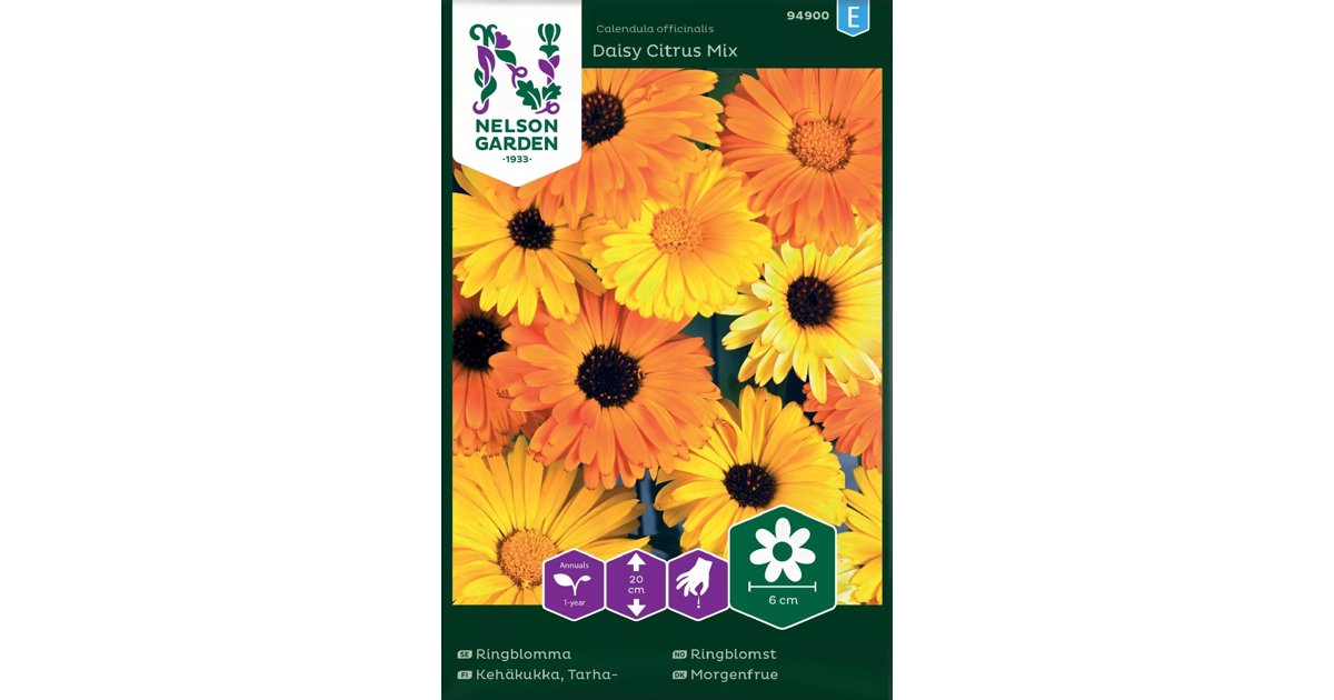 Ringblomma Daisy Citrus Mix
