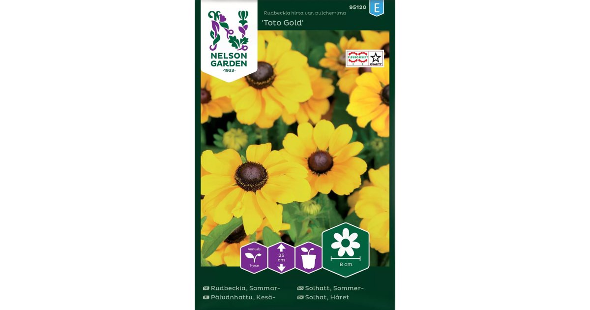 Sommarrudbeckia Toto Gold