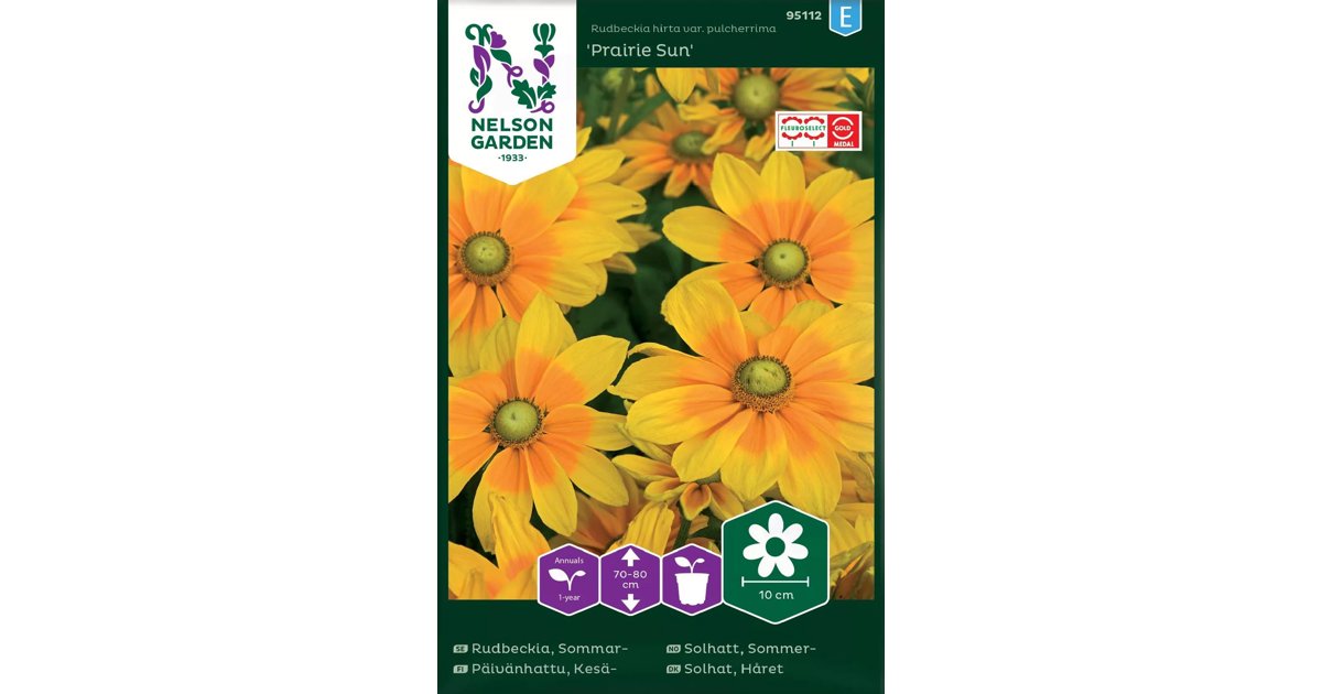 Sommarrudbeckia Prairie Sun