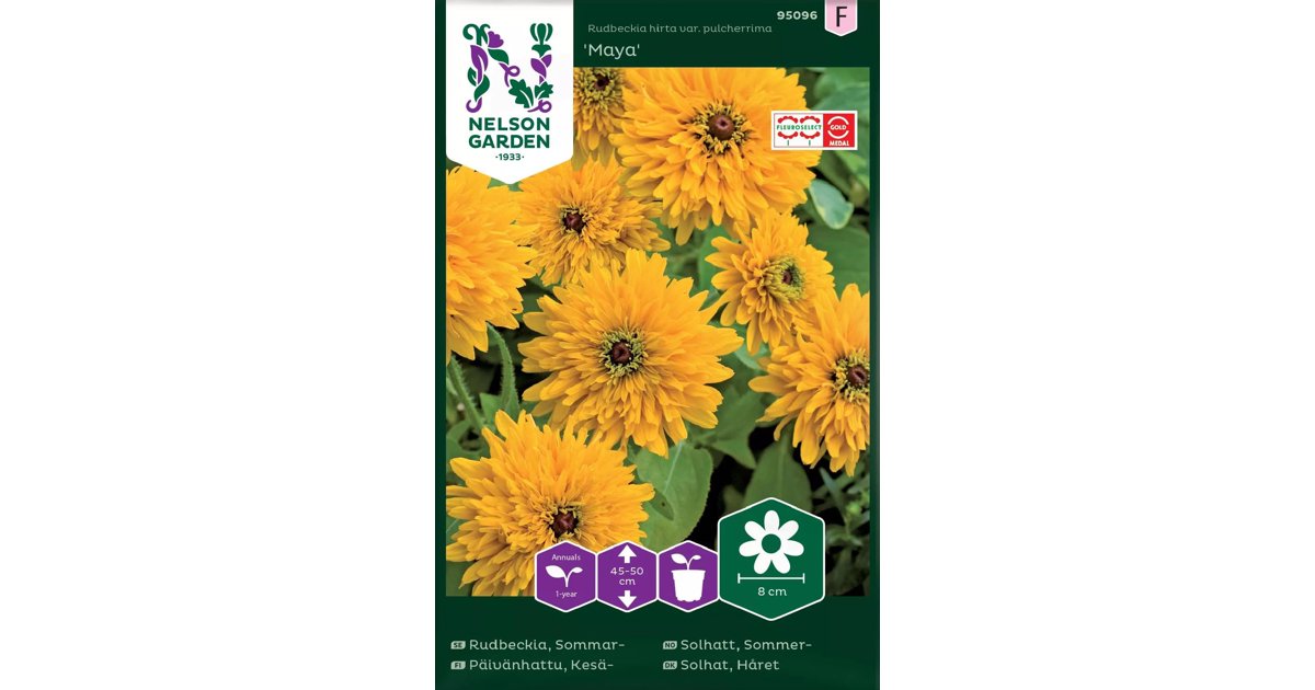 Sommarrudbeckia Maya