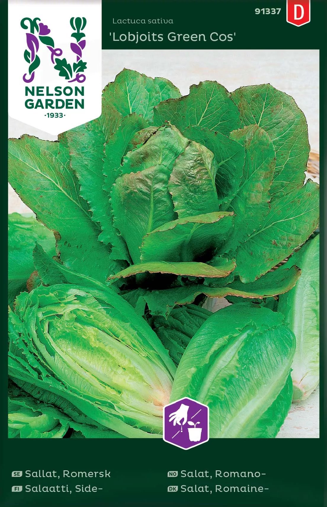 Romersk Sallat Lobjoits Green Cos