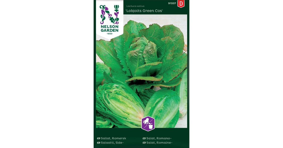 Romersk Sallat Lobjoits Green Cos