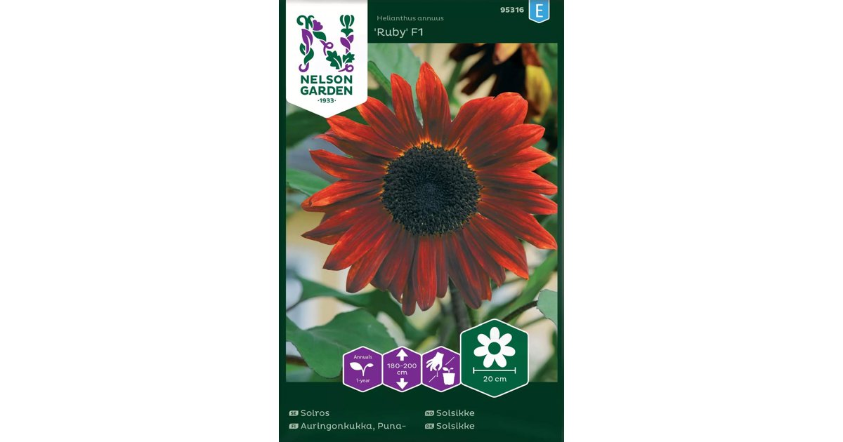 Solros Ruby F1