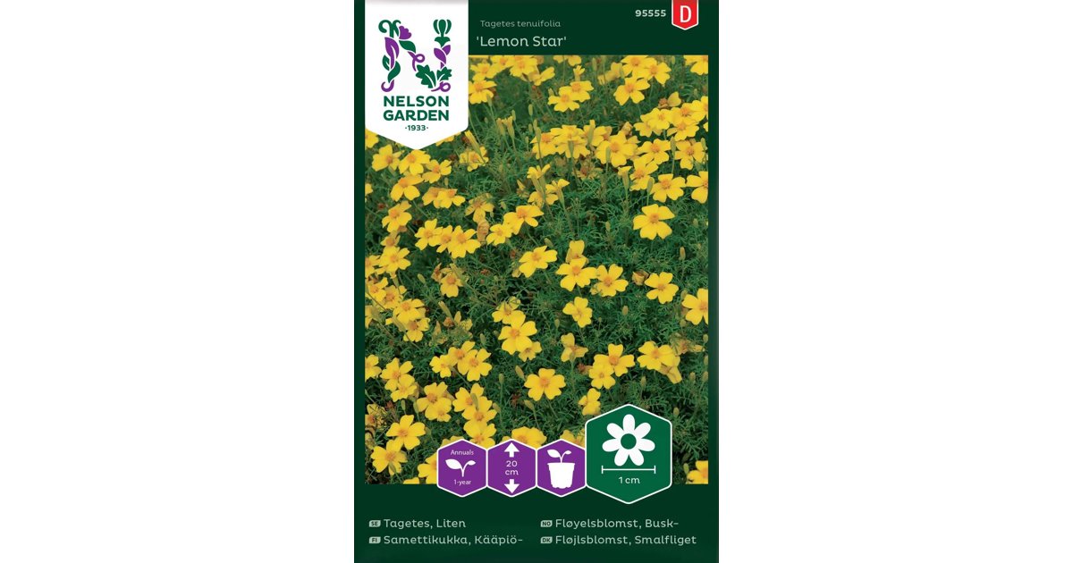 Tagetes, Liten Lemon Star
