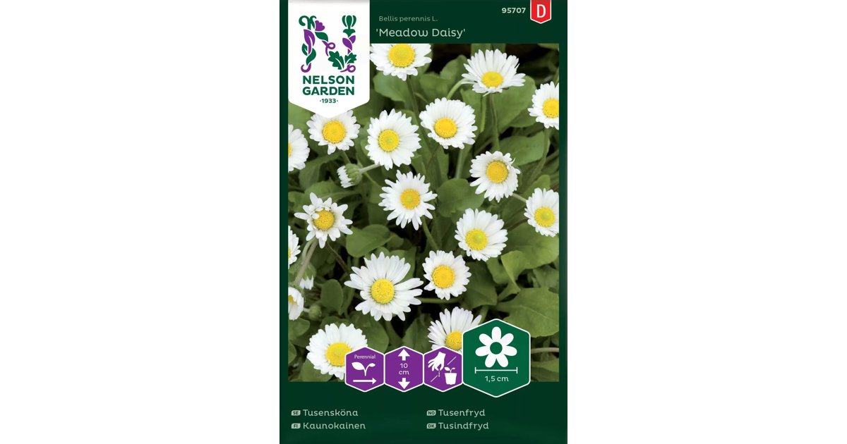 Tusensköna Meadow Daisy