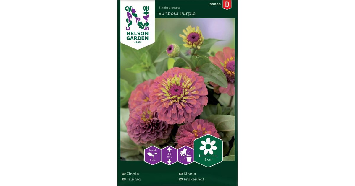 Zinnia Sunbow Purple