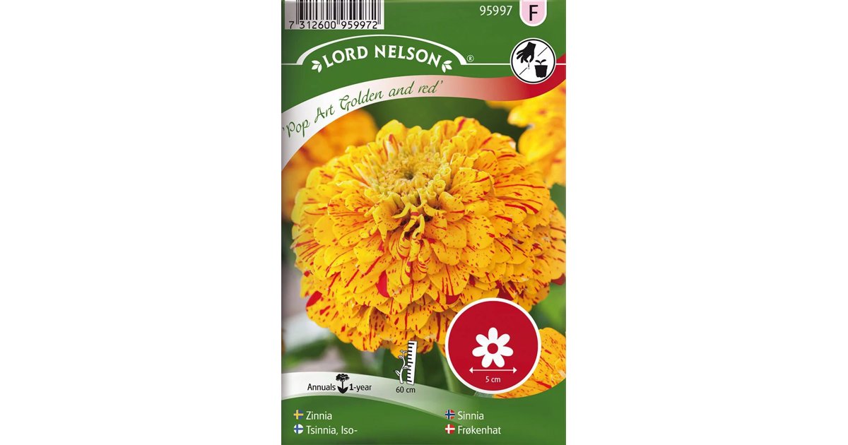 Zinnia Pop Art Gold & Red