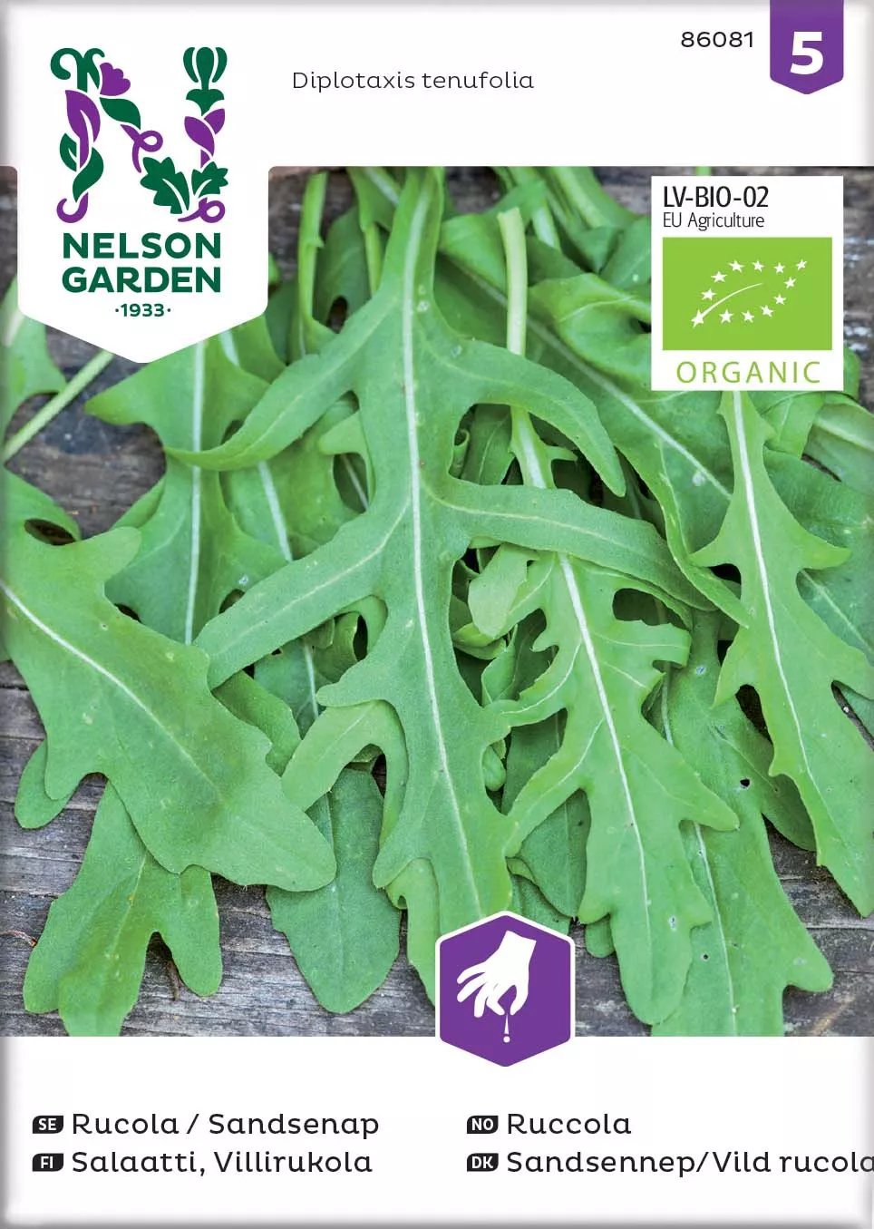 Rucola / Sandsenap