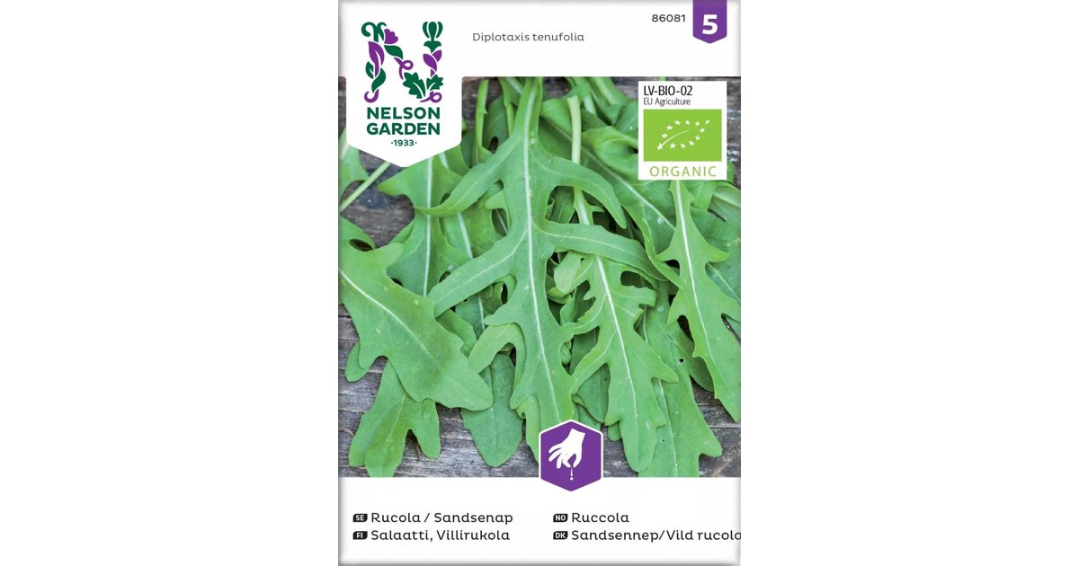 Rucola / Sandsenap