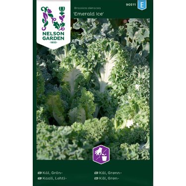 Produktbild på Grönkål 'Emerald Ice'